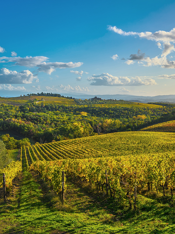 Tuscany