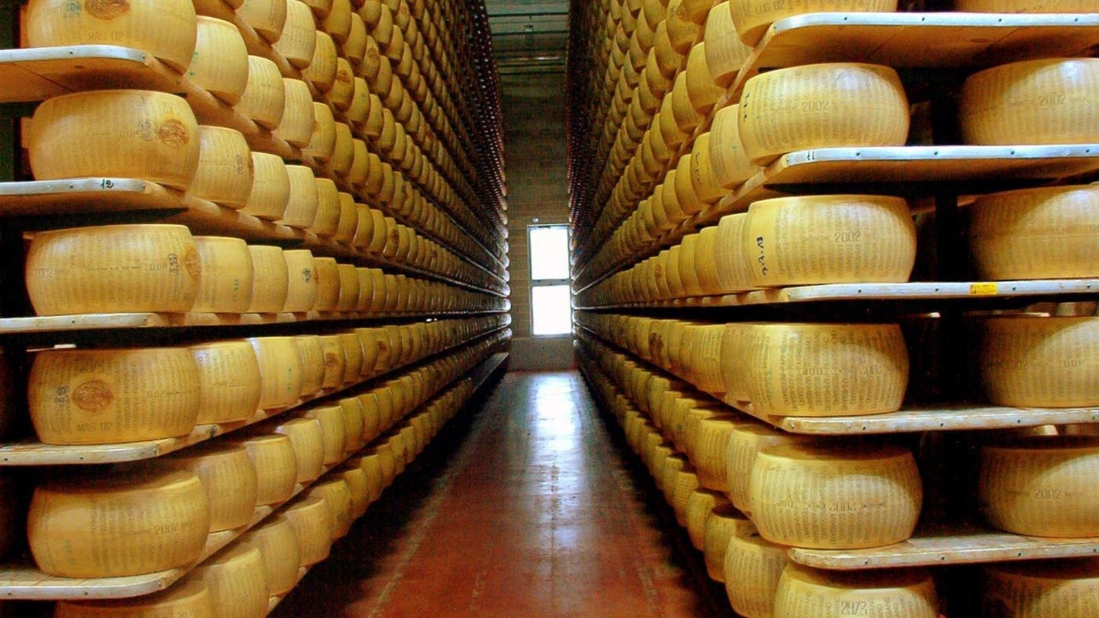 Laibe Parmigiano Reggiano, die auf hohen Holzregalen zu beiden Seiten eines Kellergangs reifen
