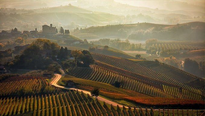 Herbstliche Weinberge und eine gewundene Straße in den Hügeln um Barolo, auf dem Kamm eine Burg, dahinter Nebel in den Tälern