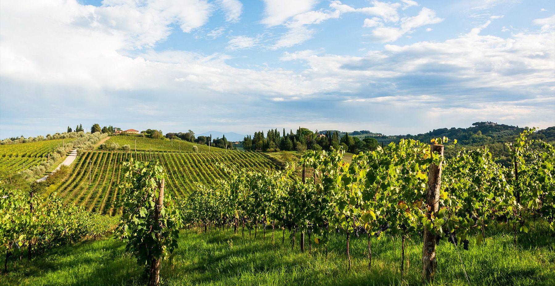 Italienischer Sommer, ganz nach Ihrem Geschmack