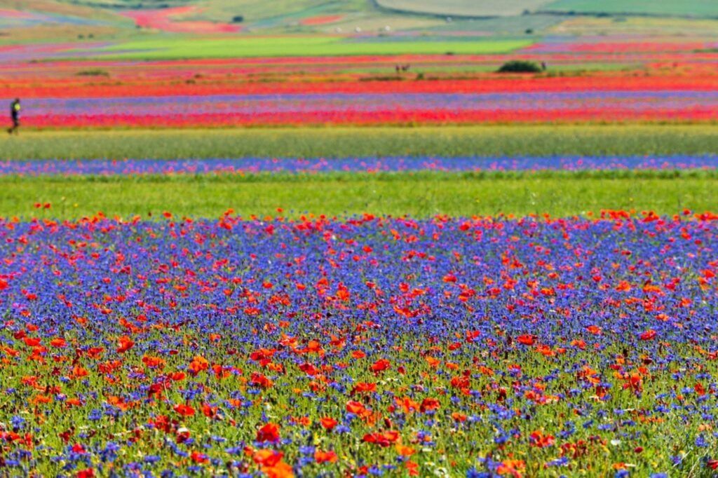 Verborgene Dörfer zwischen der Toskana, Umbrien & den Marken