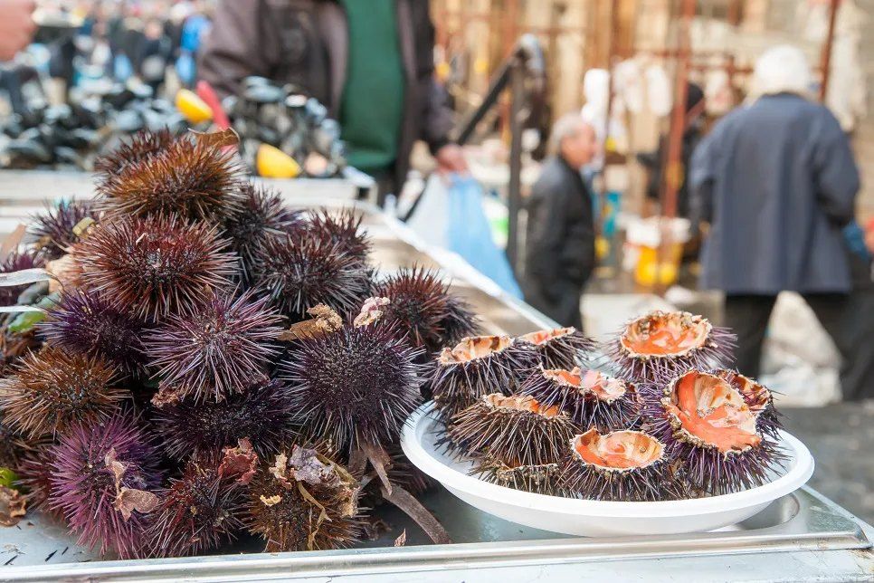 Erizos de mar, enteros y recién abiertos, en el puesto de un mercado de pescado