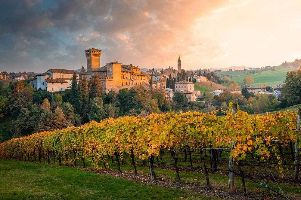 Eine Burg mit viereckigem Turm und das Dorf auf ihrem Hügel über goldenen Weinbergen im Herbst, bei Castelvetro di Modena in der Emilia-Romagna