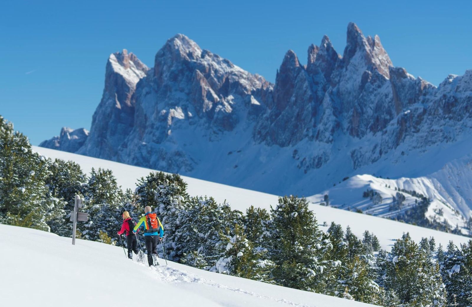 Two snowshoers climbing a snowy slope past a wooden signpost and snow-dusted pines, below jagged Dolomite peaks