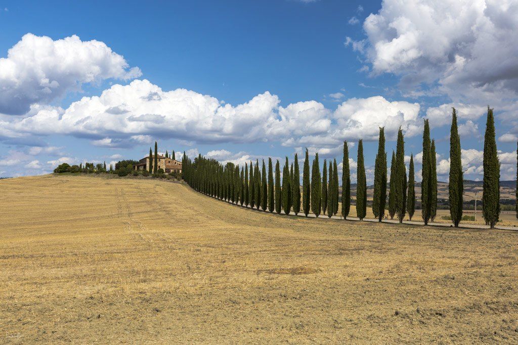 Corazón toscano, alma florentina — foto 6 de 7