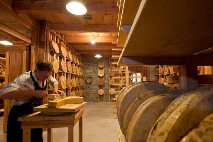 cheese cellar in Valtellina