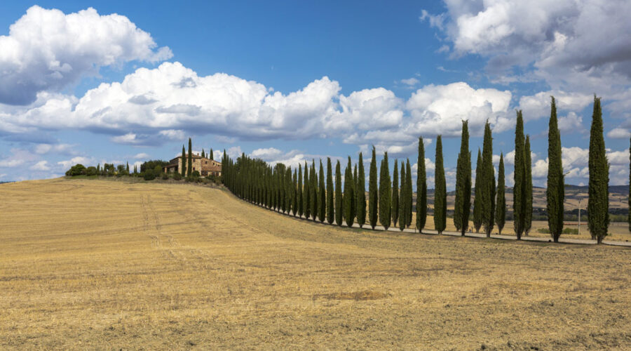 tuscan-countryside-wine